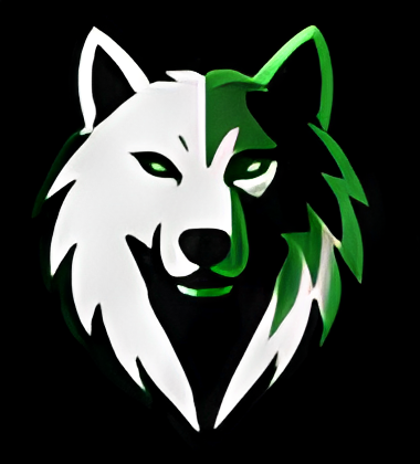 feedtheserver.com Logo